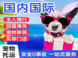 上海机场托运国际宠物托运 【国
